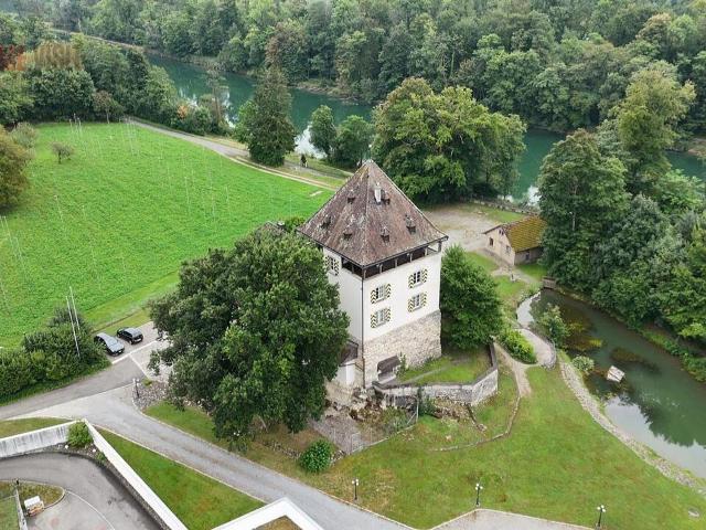 Reihenfamilienhaus kaufen in Auenstein, Aargau