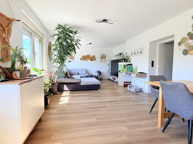 Haus kaufen in Bruck an der Leitha, Niederösterreich