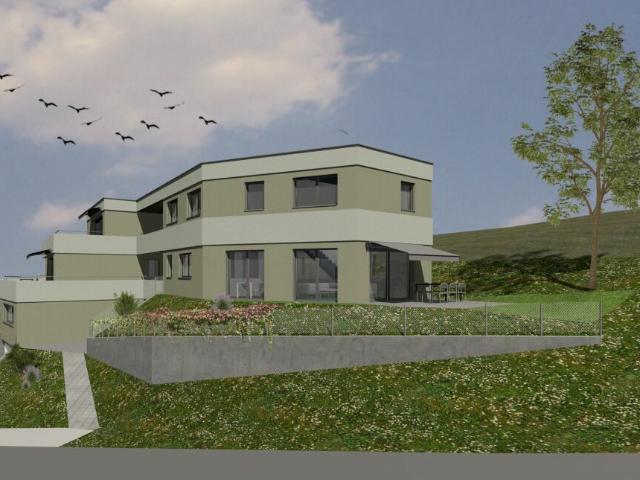 Einfamilienhaus kaufen in Zetzwil, Aargau