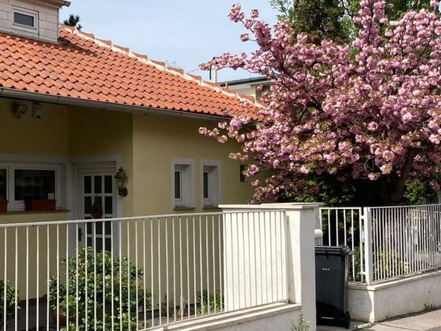 Haus kaufen in KG Innere Stadt, Wien