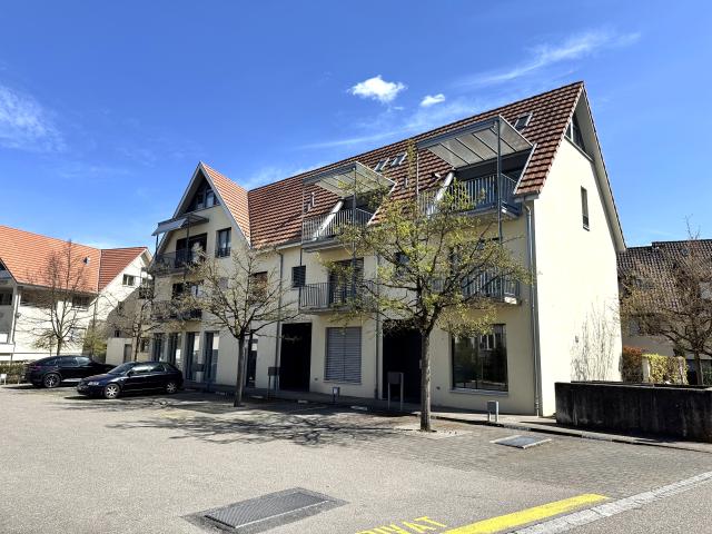Haus kaufen in Aesch (BL), Basel-Landschaft
