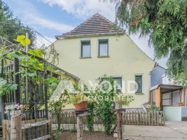 Haus kaufen in Commende, Dommitzsch