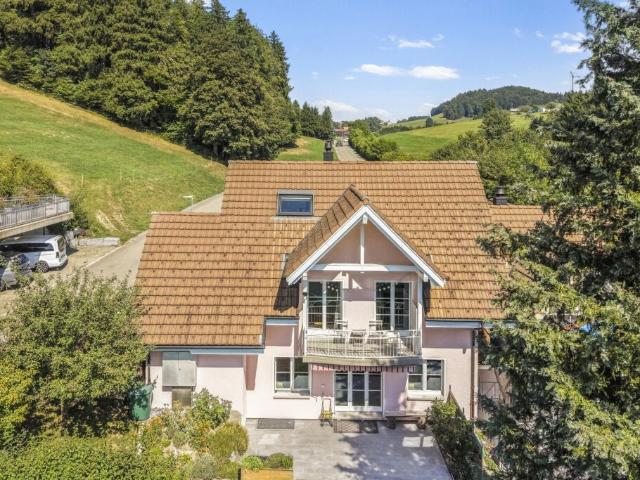 Einfamilienhaus kaufen in Eggersriet, St. Gallen