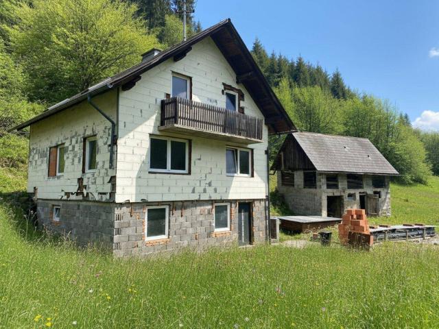 Haus kaufen in Mariahof, Steiermark