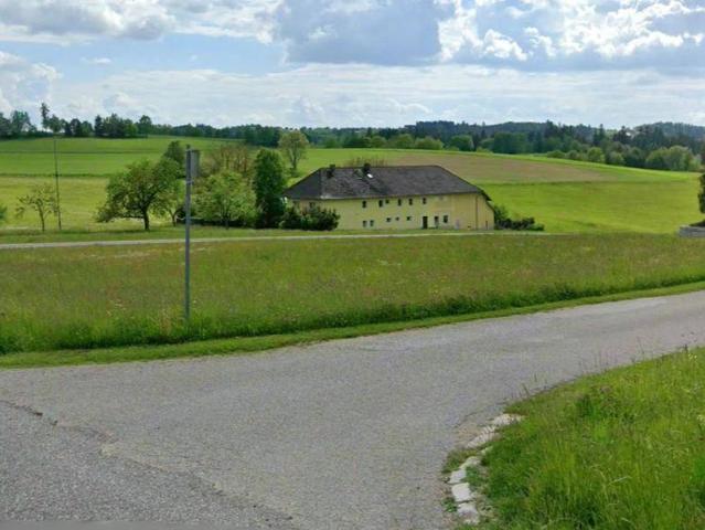 Immobilie kaufen in Niederwaldkirchen, Oberösterreich