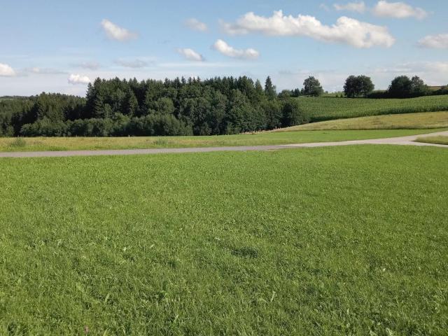 Grundstück kaufen in Kirchberg ob der Donau, Oberösterreich