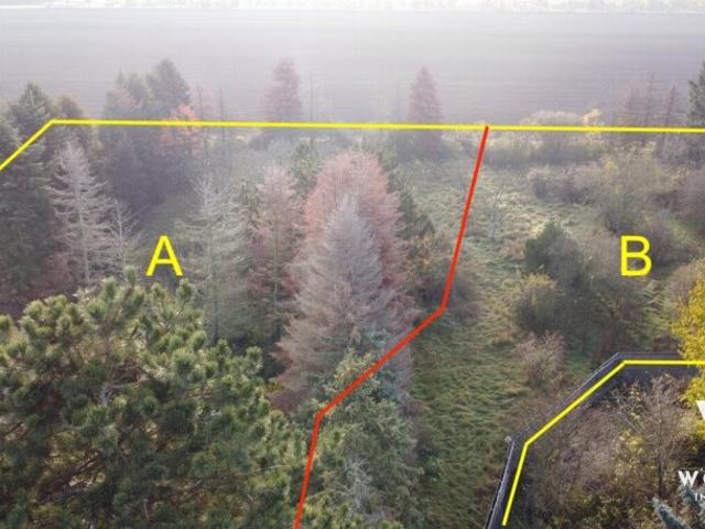 Grundstück kaufen in Gänserndorf, Niederösterreich