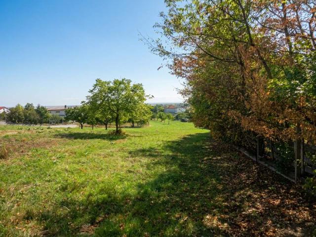 Grundstück kaufen in Bezirk Eisenstadt-Umgebung, Burgenland