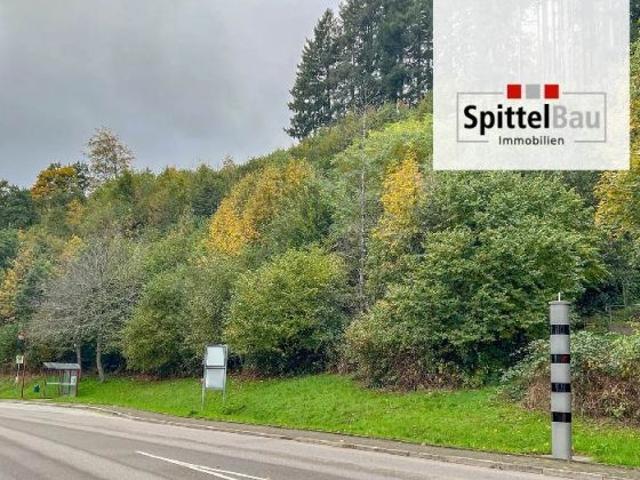 Erdgeschosswohnung kaufen in Schenkenzell, Baden-Württemberg