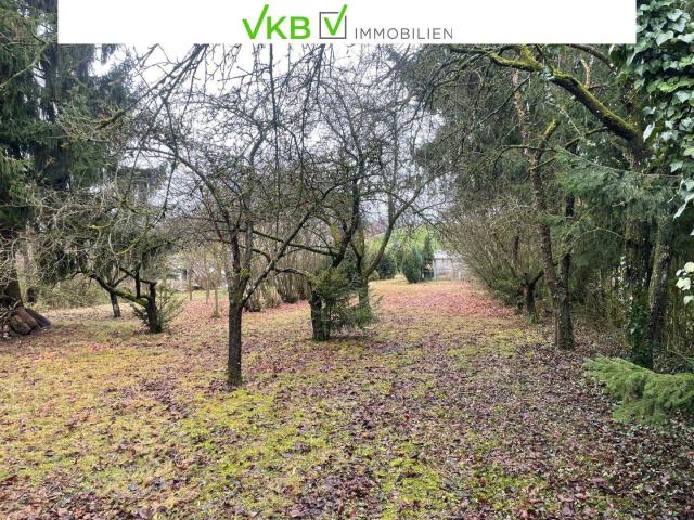 Immobilie kaufen in Alberndorf in der Riedmark, Oberösterreich