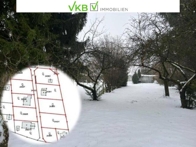 Immobilie kaufen in Alberndorf in der Riedmark, Oberösterreich