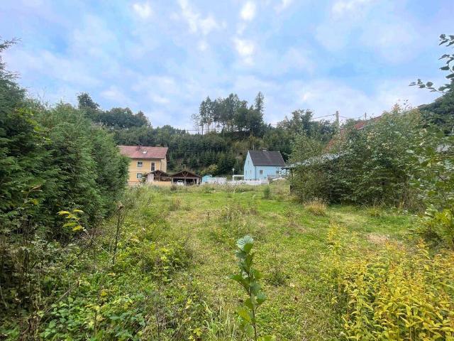 Immobilie kaufen in Steyr, Oberösterreich