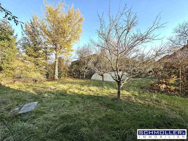 Immobilie kaufen in Buchkirchen, Oberösterreich