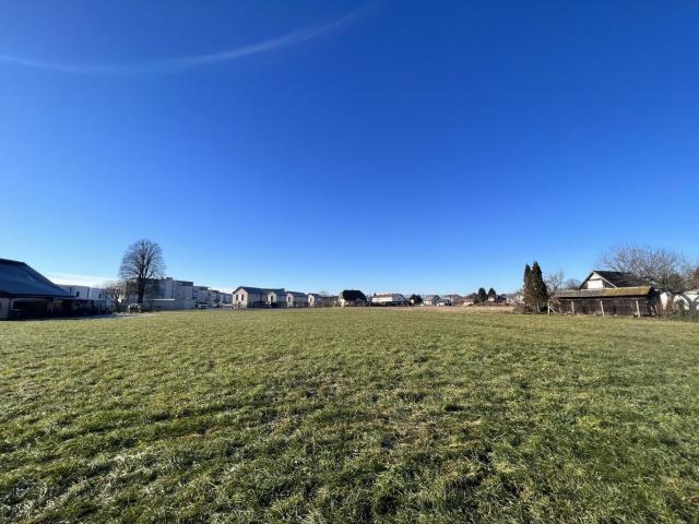 Grundstück kaufen in Gralla, Steiermark