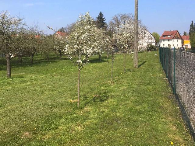 Erdgeschosswohnung kaufen in Affalterbach, Landkreis Ludwigsburg