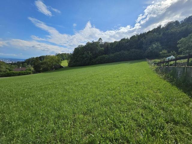 Immobilie kaufen in Lichtenberg, Oberösterreich