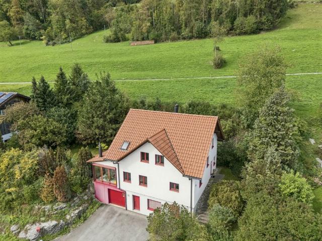Einfamilienhaus kaufen in Büchel, Rüthi (SG)