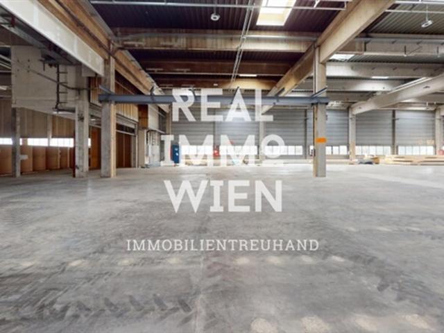 Gewerbe mieten in Katastralgemeinde Traiskirchen, Traiskirchen