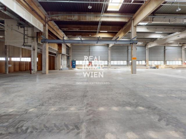 Industrie kaufen in Traiskirchen, Niederösterreich