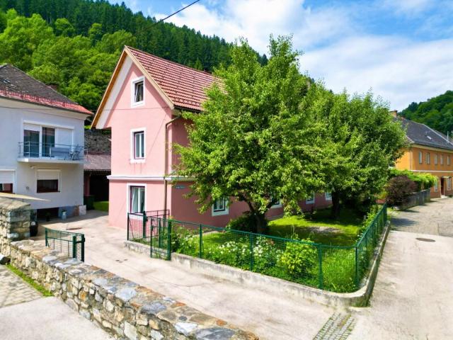 Einfamilienhaus kaufen in Friesach, Kärnten