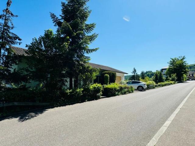 Villa kaufen in Frenkendorf