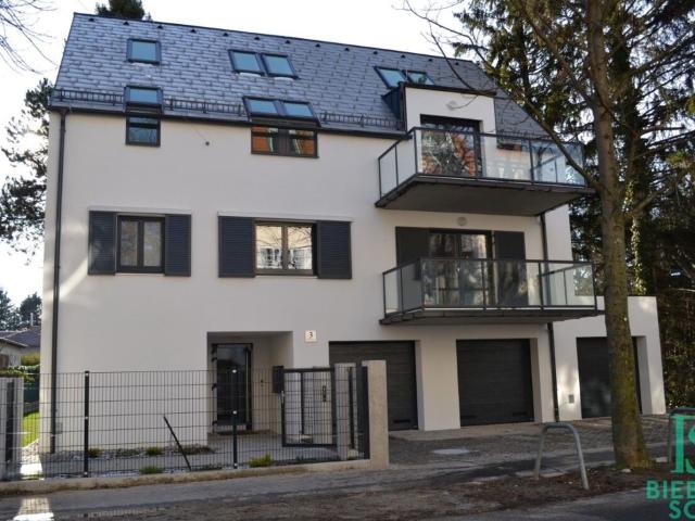 Gewerbe mieten in Seestadt, Wien