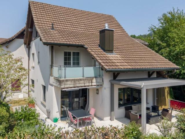 Einfamilienhaus kaufen in Schneisingen, Aargau