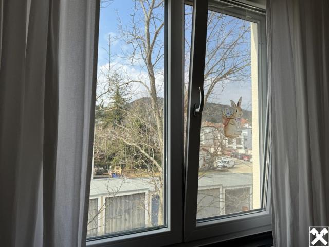 Wohnung kaufen in Mödling, Niederösterreich