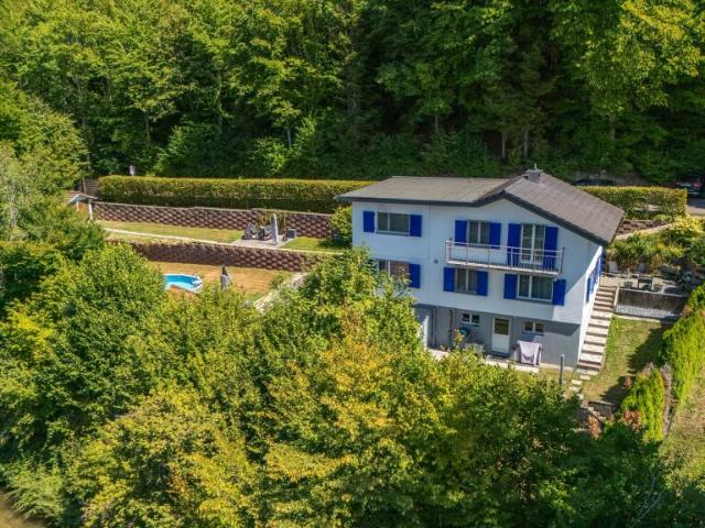 Einfamilienhaus kaufen in Murgenthal, Aargau