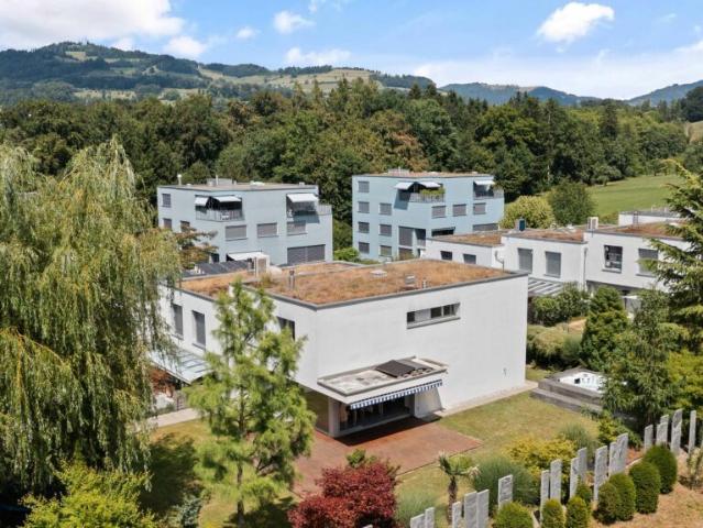 Einfamilienhaus kaufen in Rüti (ZH), Zürich
