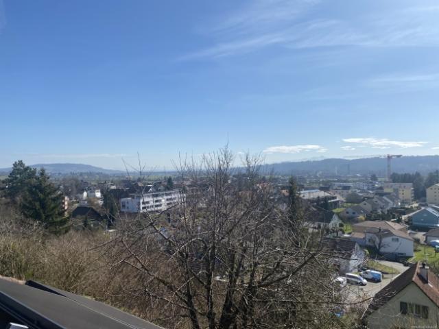 Einfamilienhaus kaufen in Müllheim Dorf, Thurgau