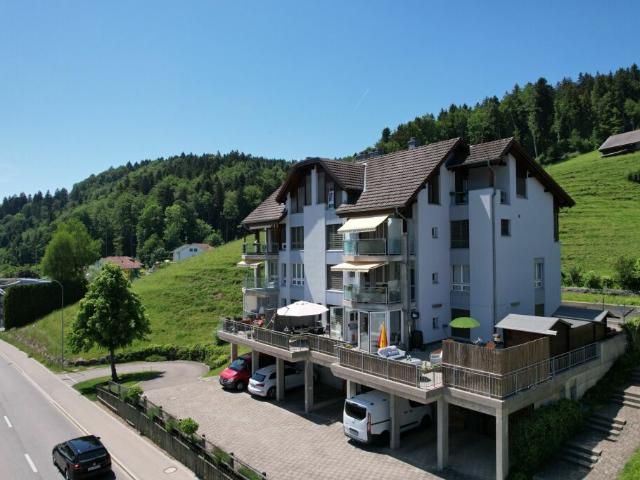 Immobilie kaufen in Degersheim, St. Gallen