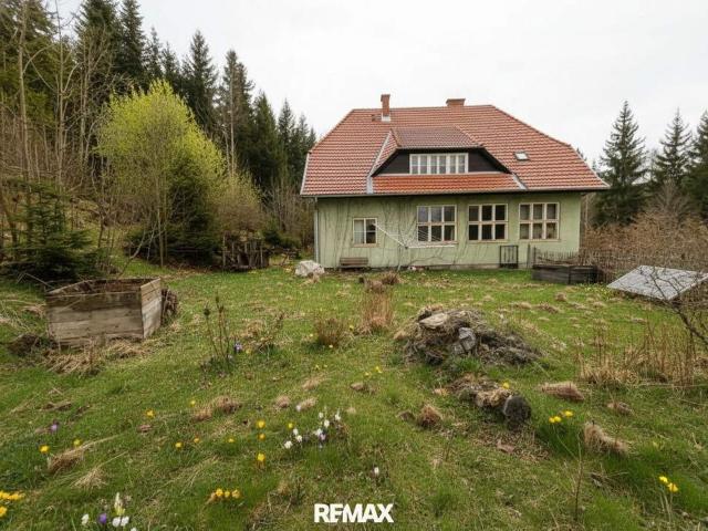 Haus kaufen in Neunkirchen, Niederösterreich