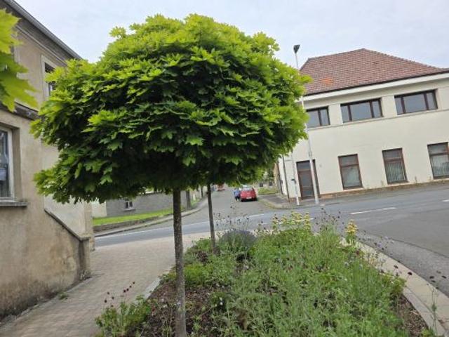 Haus kaufen in Ermershausen, Bayern