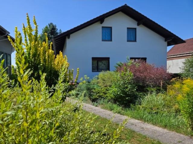 Haus kaufen in Vitis, Niederösterreich