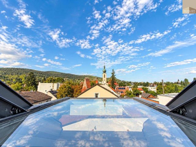 Apartment kaufen in Baden, Niederösterreich