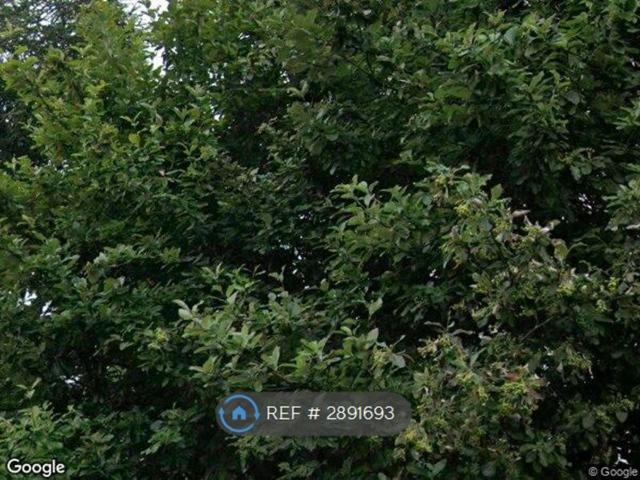 Room for rent in St Margarets, Greater London