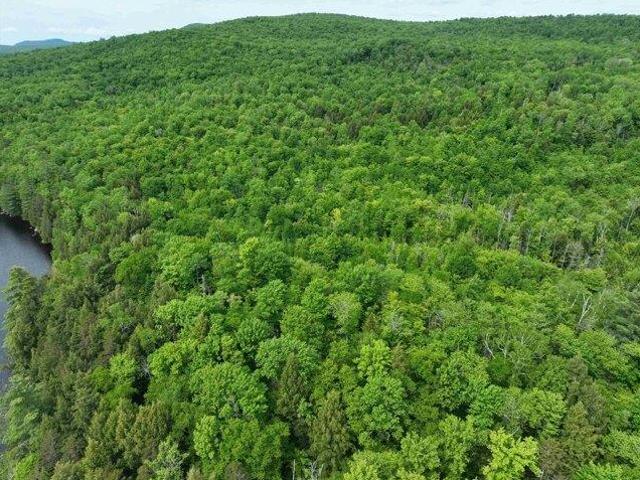 Land for sale in Groton, Vermont