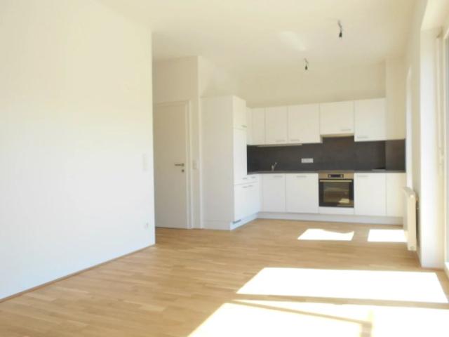 Apartment mieten in Katastralgemeinde Wetzelsdorf, Graz