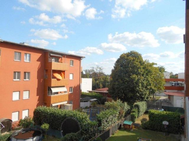 Apartment mieten in Wetzelsdorf, Gersdorf-Feistritz