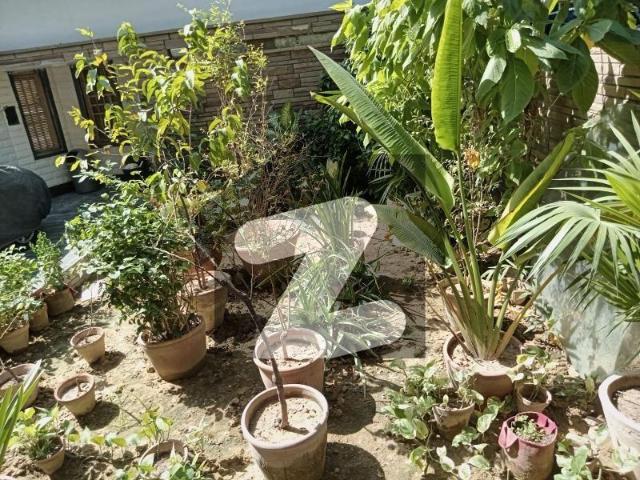 House for sale in North Waziristan, Federally Administered Tribal Areas fata