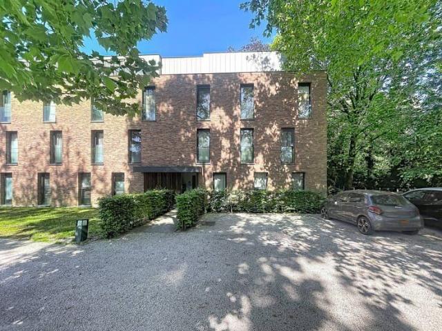 Kot location à Eeklo, Oost-Vlaanderen