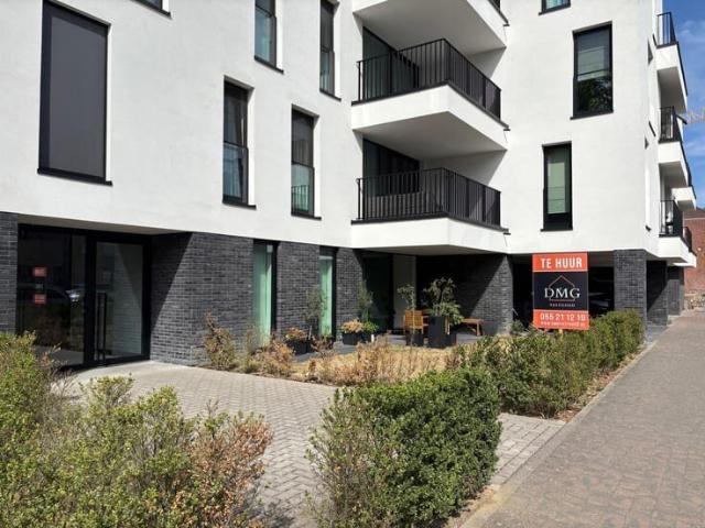 Kot location à Renaix, Oost-Vlaanderen