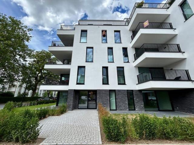 Kot location à Renaix, Oost-Vlaanderen