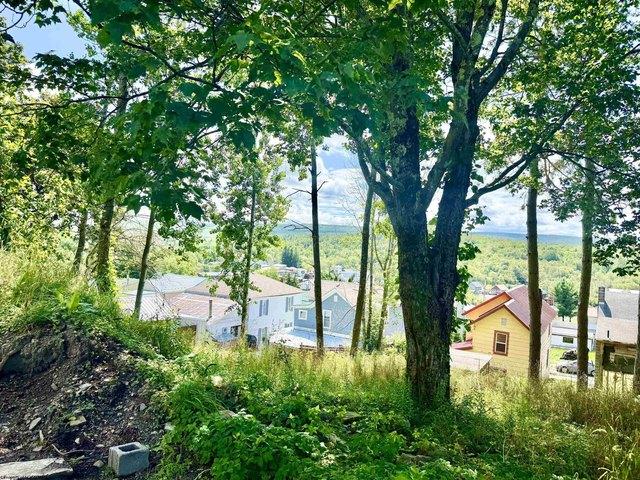 Land for sale in Davis, West Virginia