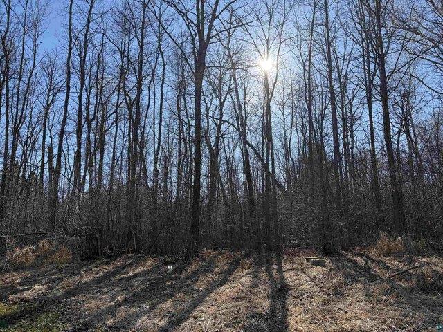 Land for sale in Carlton, Minnesota