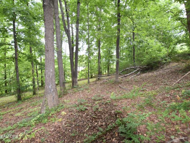 Land for sale in Tennessee