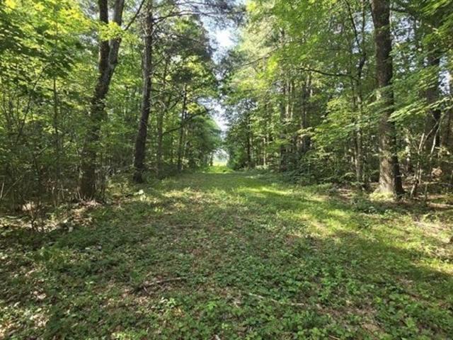 Land for sale in Paxton, Massachusetts