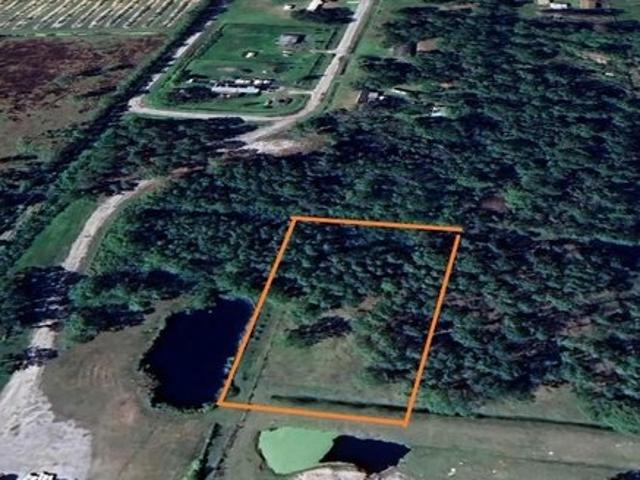 Land for sale in Fort Meade, Florida