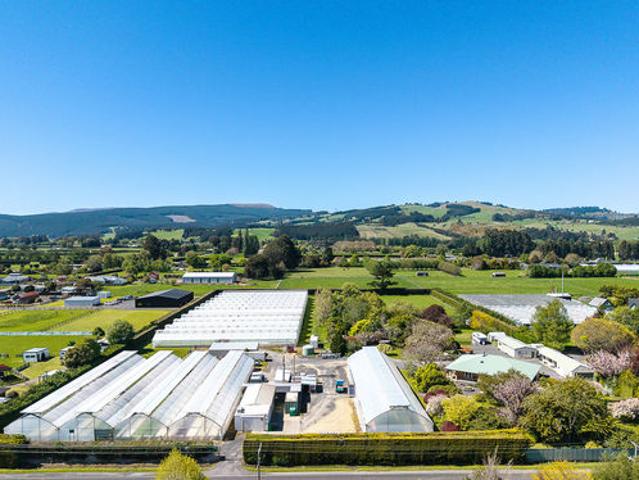 Property for sale in Dunedin, Dunedin City